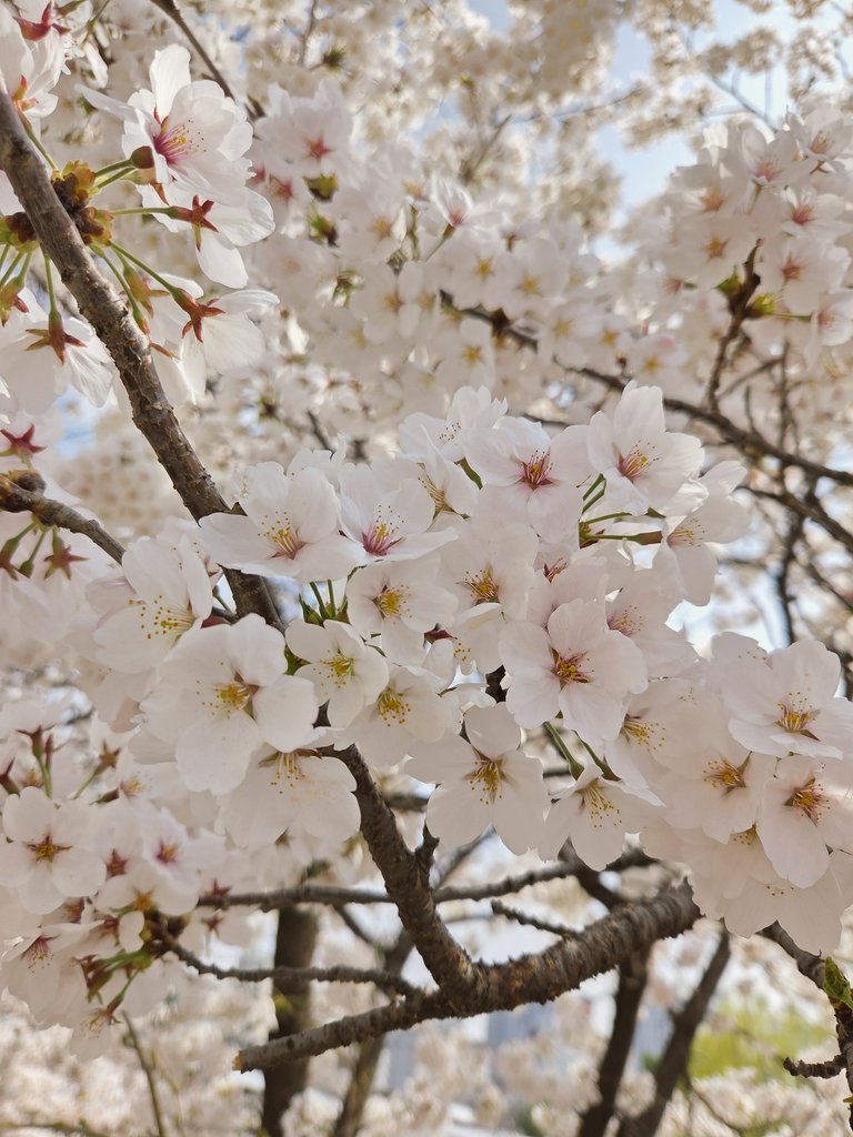 ReA 오늘도산다 레아 tweet media