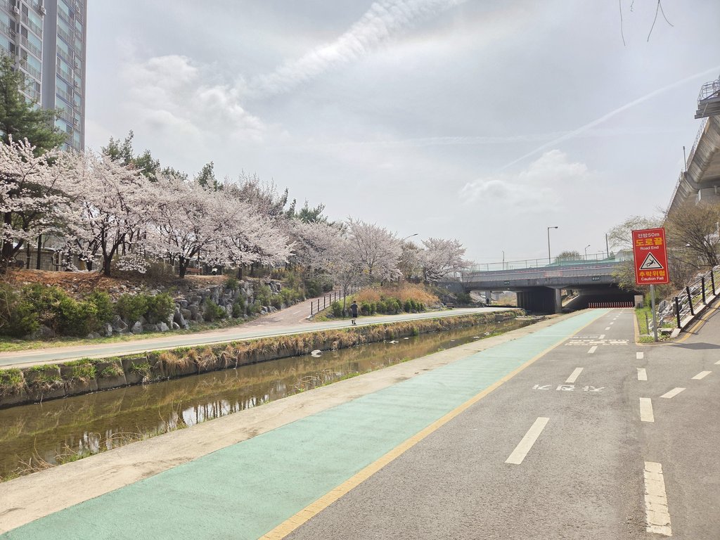 ReA 오늘도산다 레아 tweet media