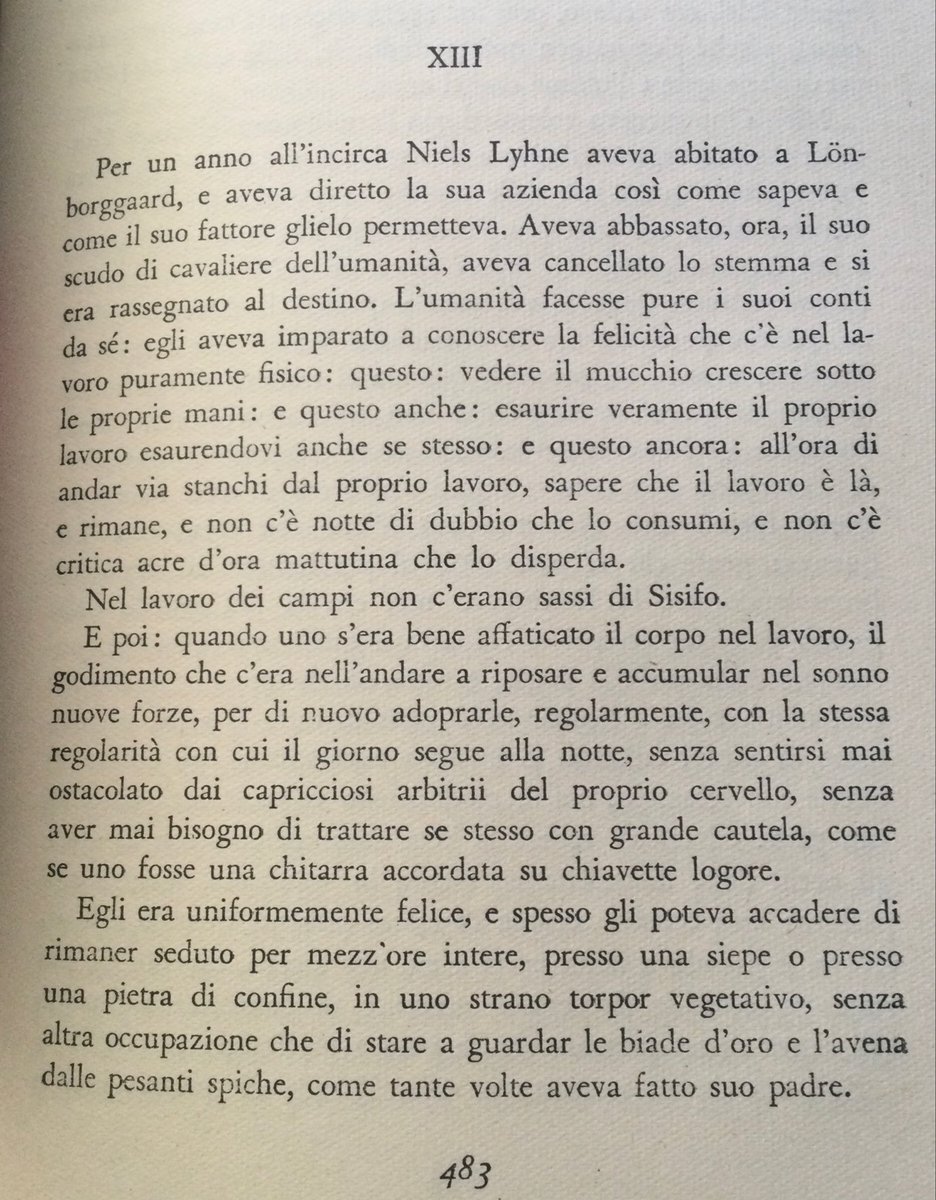 Fabio Brunnen tweet media