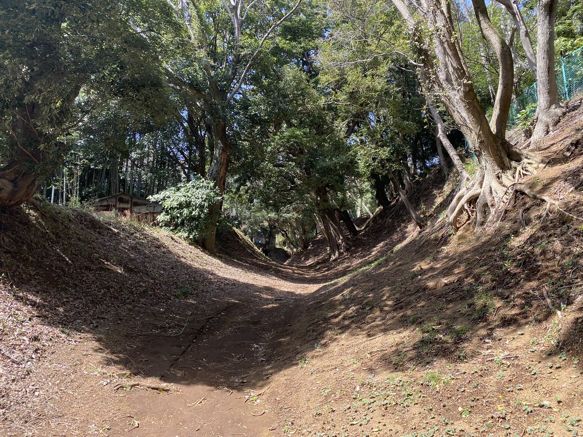 k-masahiro tweet media