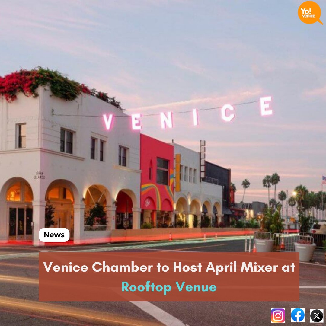 Yo! Venice! tweet media