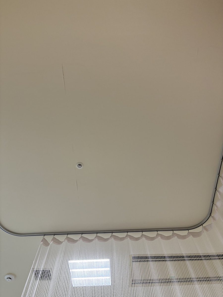 だんだんVchu-ba- tweet media