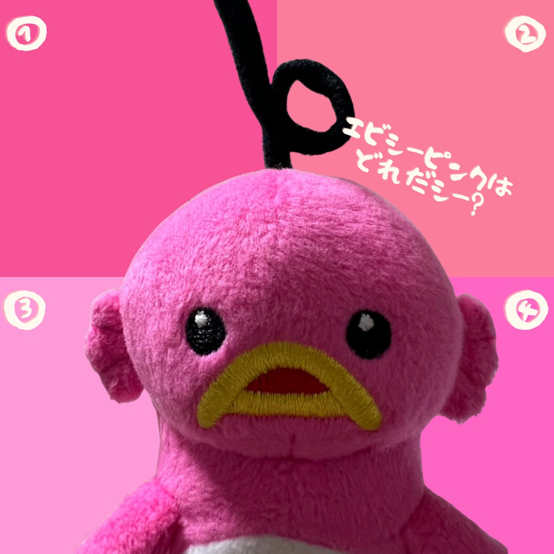 エビシー【公式】 tweet media