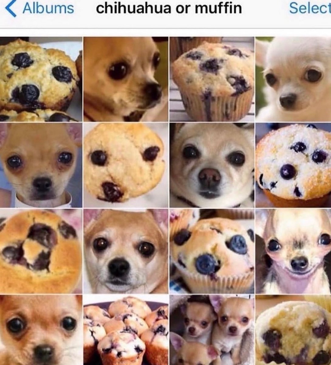 Respectful Memes tweet media