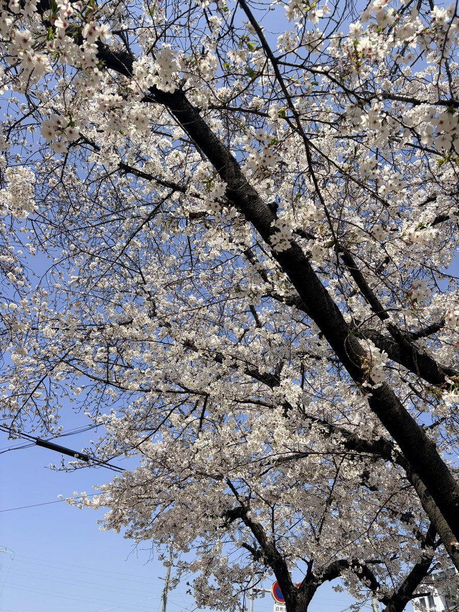 はだれ tweet media