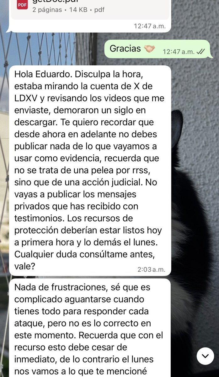 🅻🅳🆇🆅 media tweet media