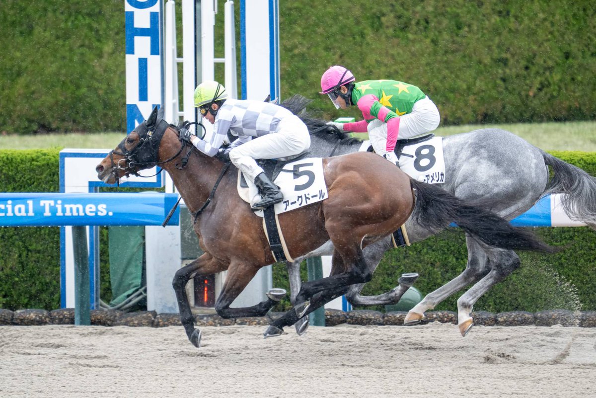 インゼルサラブレッドクラブ tweet media