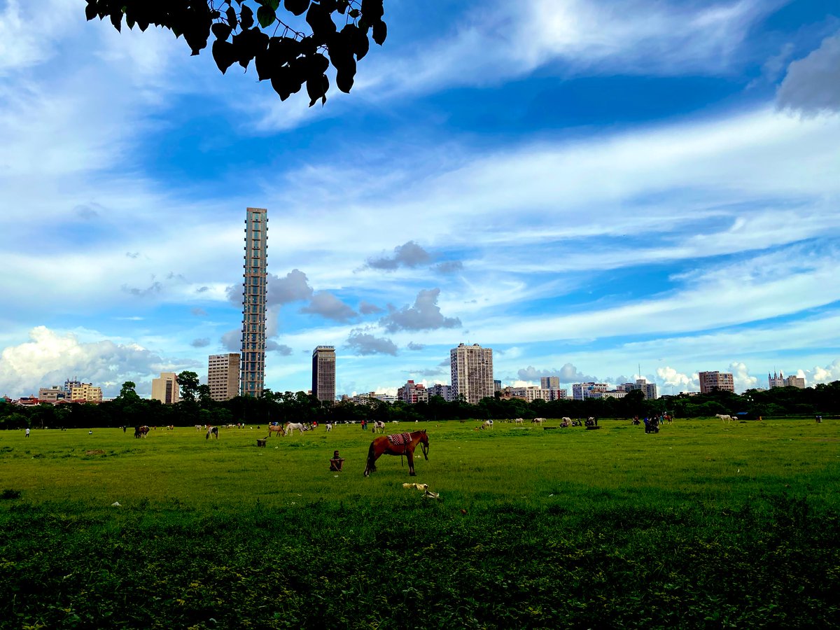 Thomas Shelby tweet media