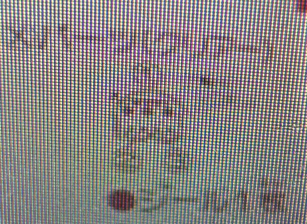 だんごむし tweet media