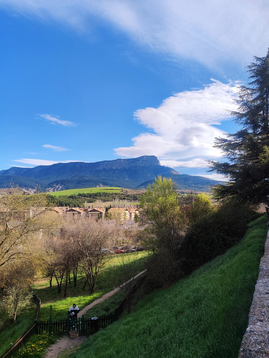 Antonio Escar tweet media