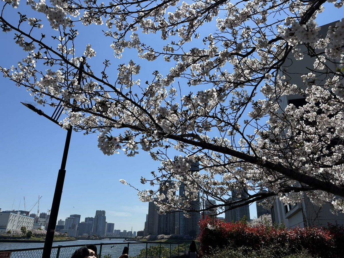 伊川千良（IGAWA Chiyoshi） tweet media