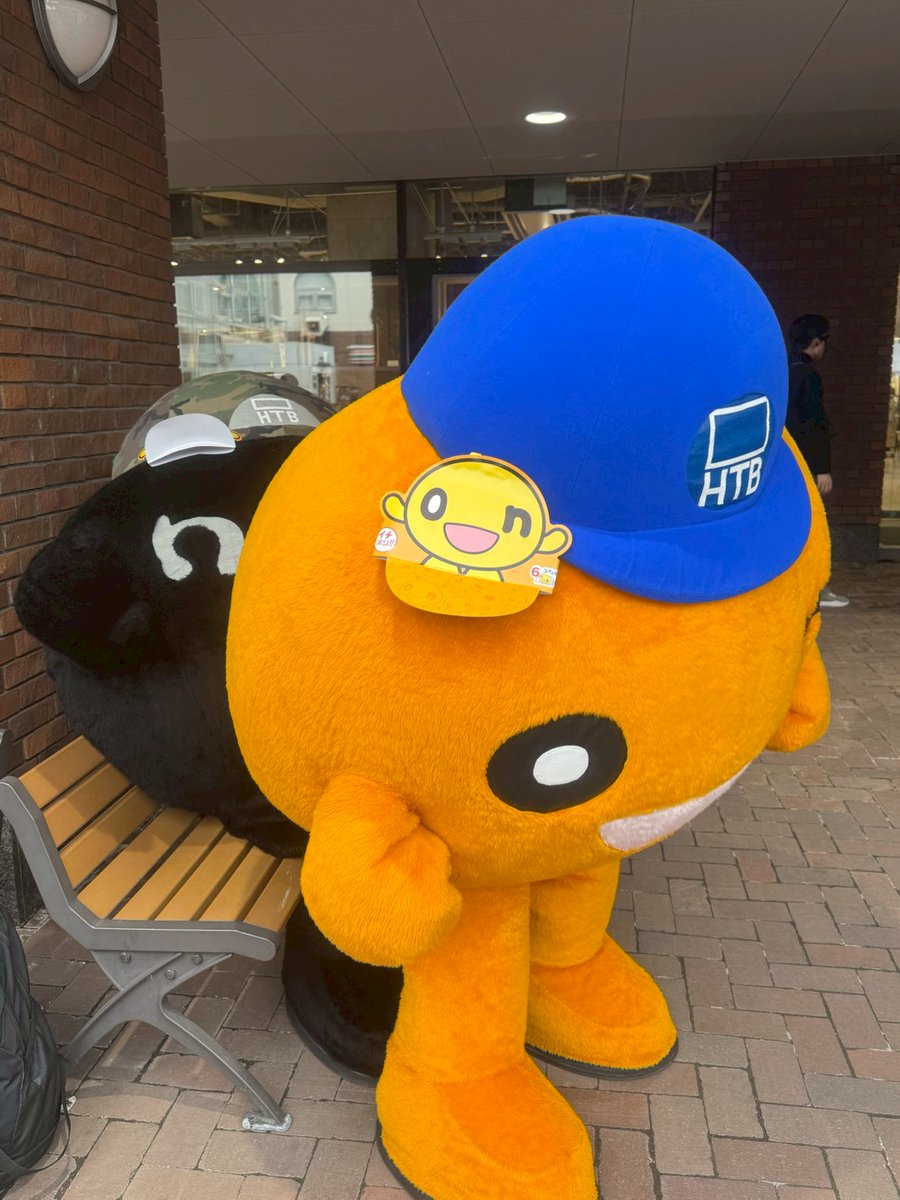 HTB北海道テレビ tweet media