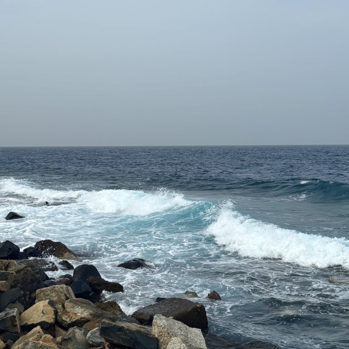 رِيماس tweet media