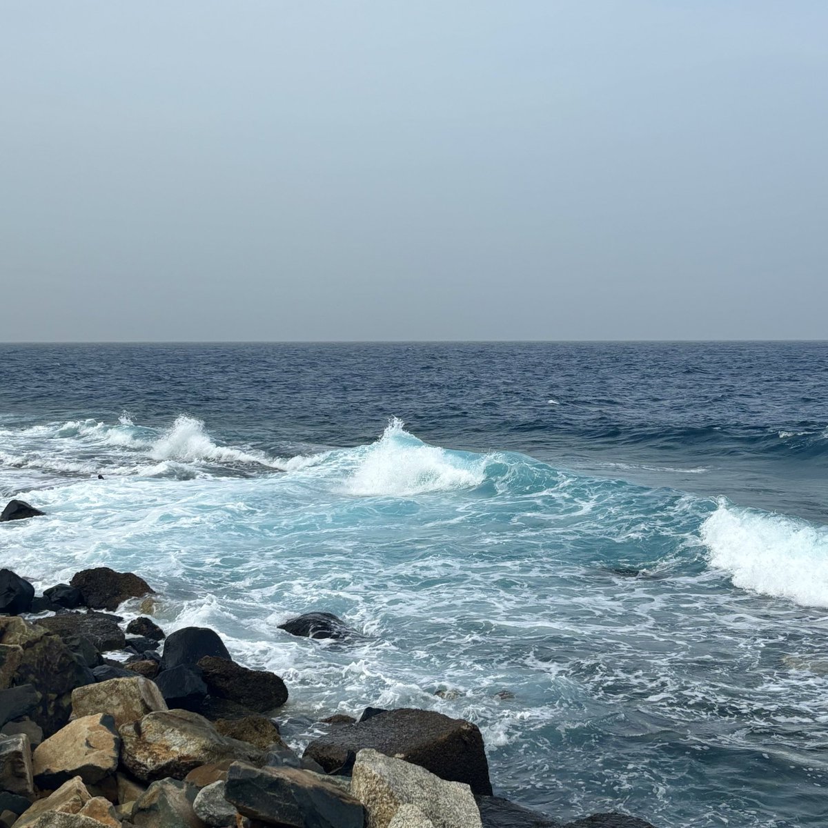 رِيماس tweet media