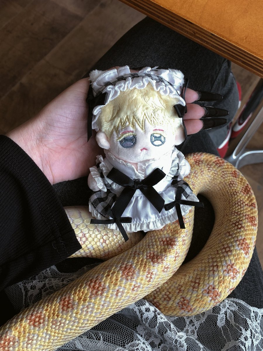 BaiChang92581's tweet photo. 우리 귀여운 릴리는 뱀 무서워할까용? 🐍
릴리 데리고 맛있는 디저트 먹으러 갔어용 🍮
@NmtNEnc78gz7Der
#골든페어 #GoldenPair https://t.co/JTKYHQ7r6U