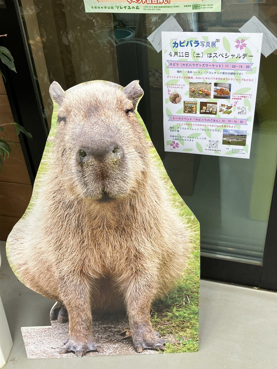 のりぴ tweet media