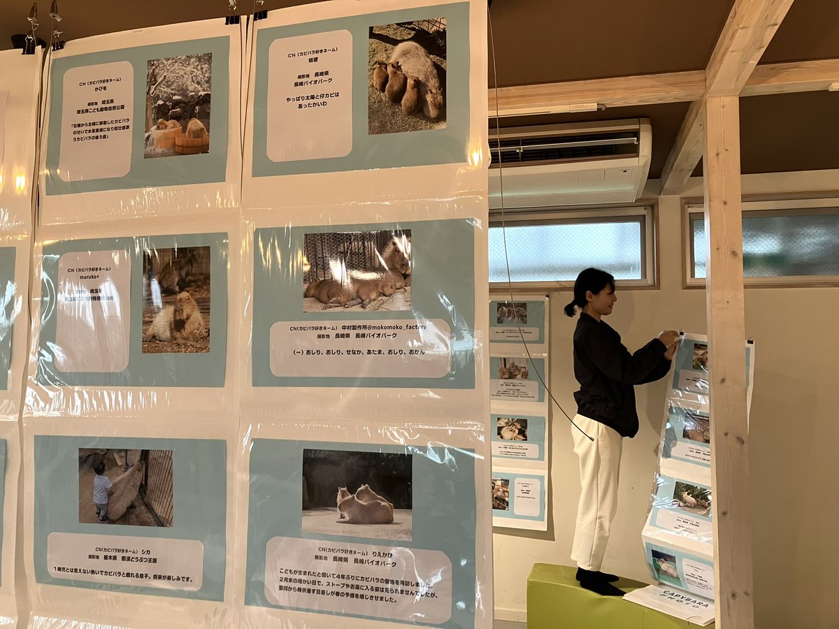 のりぴ tweet media