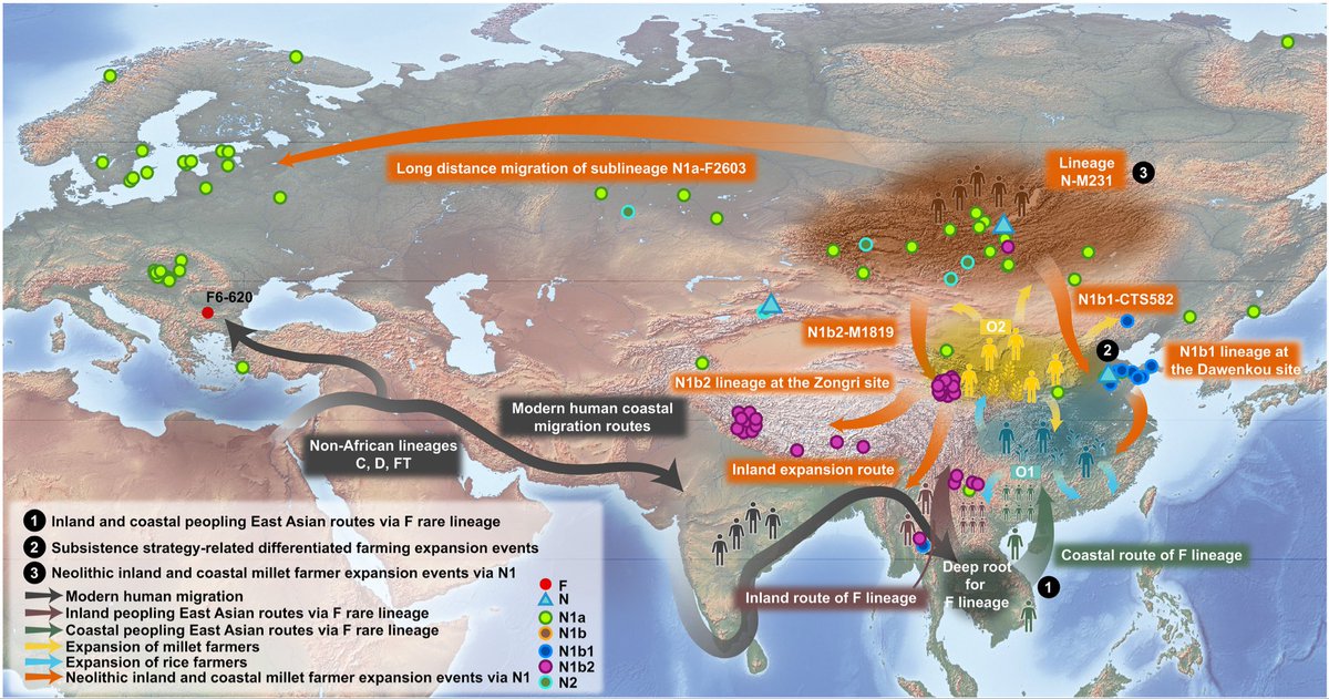 Daniel Tabin tweet media