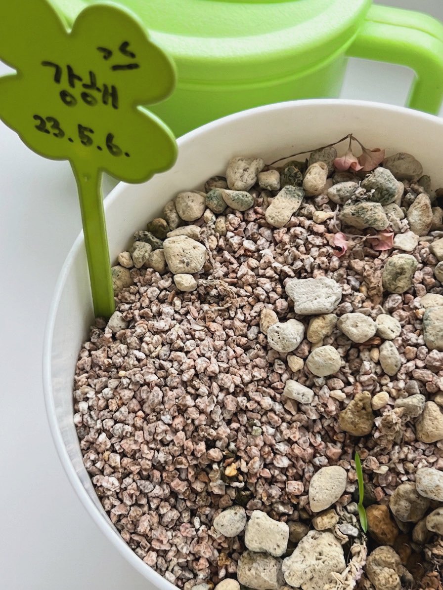 🌕 빈이의 우주 달빈달빈 tweet media