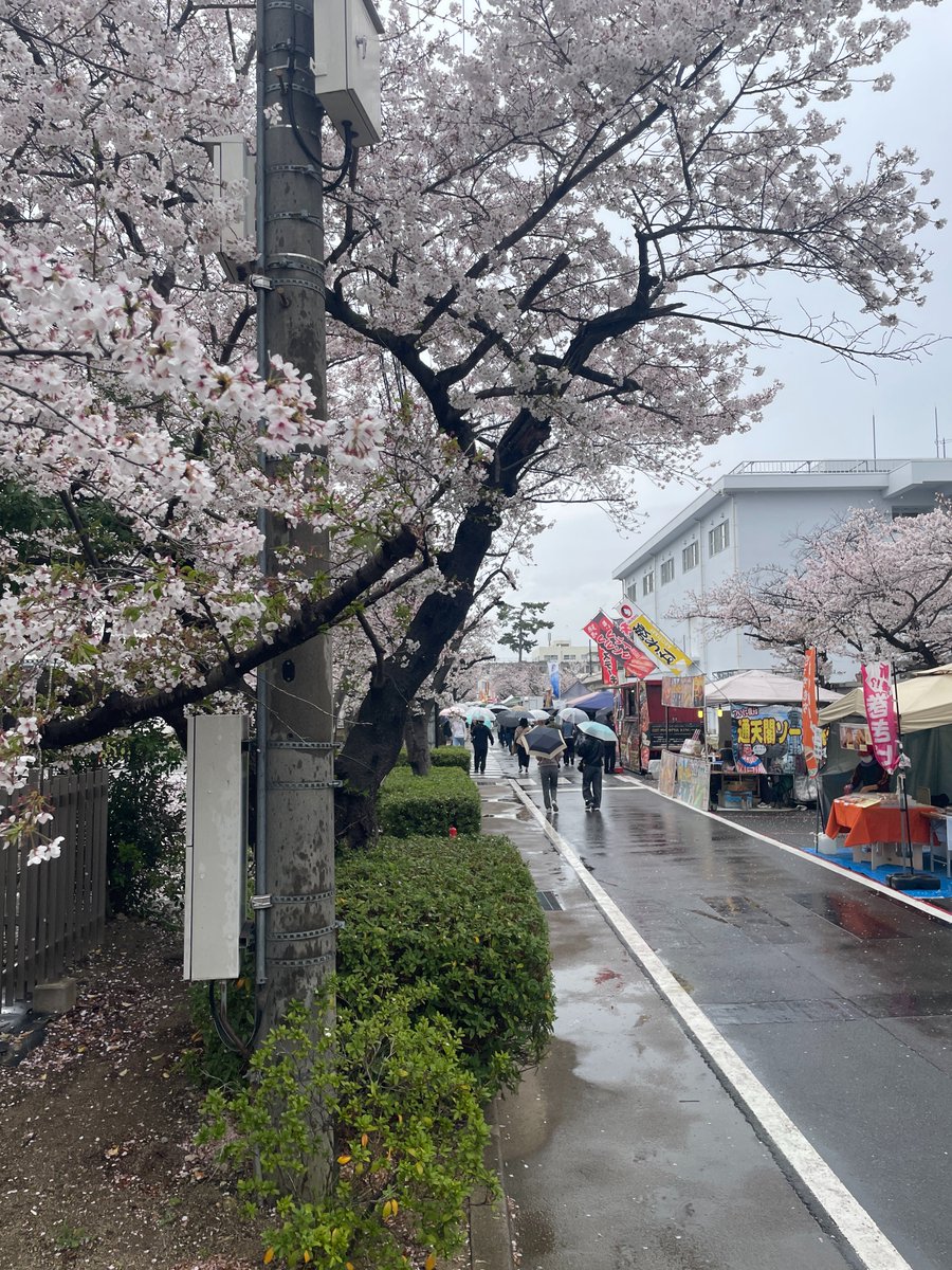 門隆志 日本維新の会 兵庫県議 tweet media
