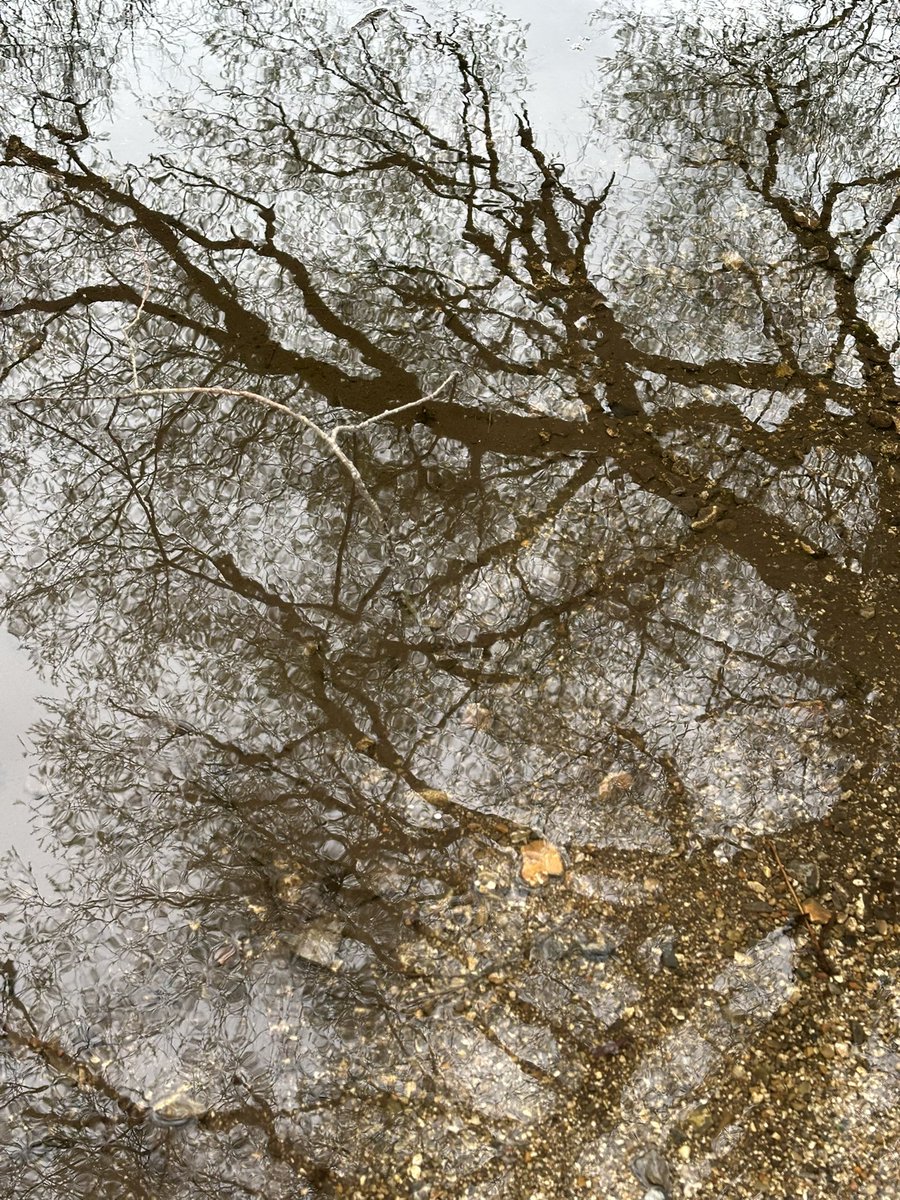 Helen Ibbott 💙📸📖 tweet media