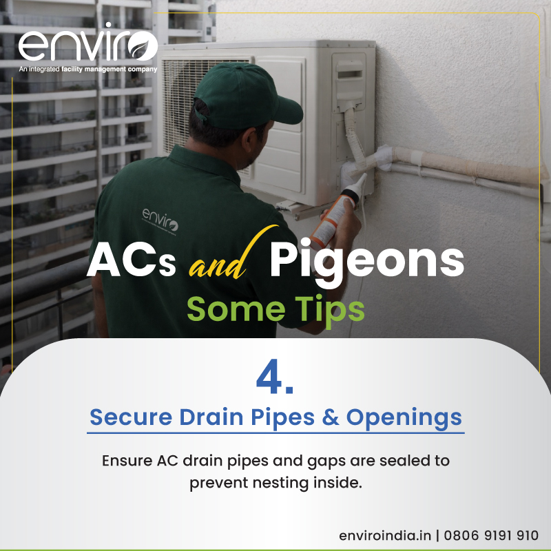 enviro_india's tweet image. Air Conditioners and Pigeons: Steps to Safeguard your Family.

#HomeMaintenance #ACCare #MaintenanceTips 
#AC #Pigeon #AirConditioner #AirConditioning #PreventiveMaintenance #Technical #Residential #Society #Enviro #IntegratedFacilityManagementServices #IFMS #FacilityManagement