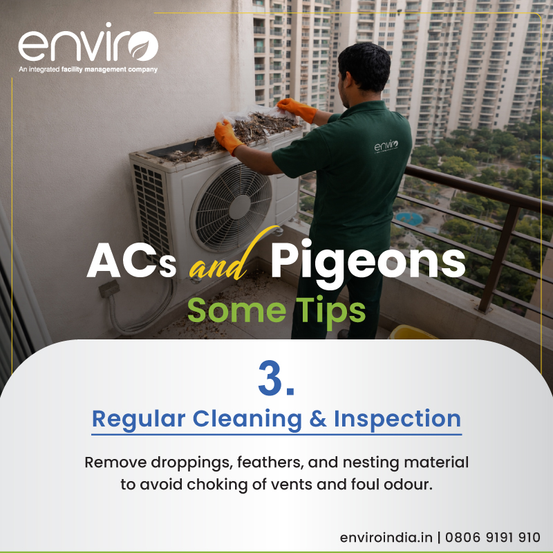 enviro_india's tweet image. Air Conditioners and Pigeons: Steps to Safeguard your Family.

#HomeMaintenance #ACCare #MaintenanceTips 
#AC #Pigeon #AirConditioner #AirConditioning #PreventiveMaintenance #Technical #Residential #Society #Enviro #IntegratedFacilityManagementServices #IFMS #FacilityManagement