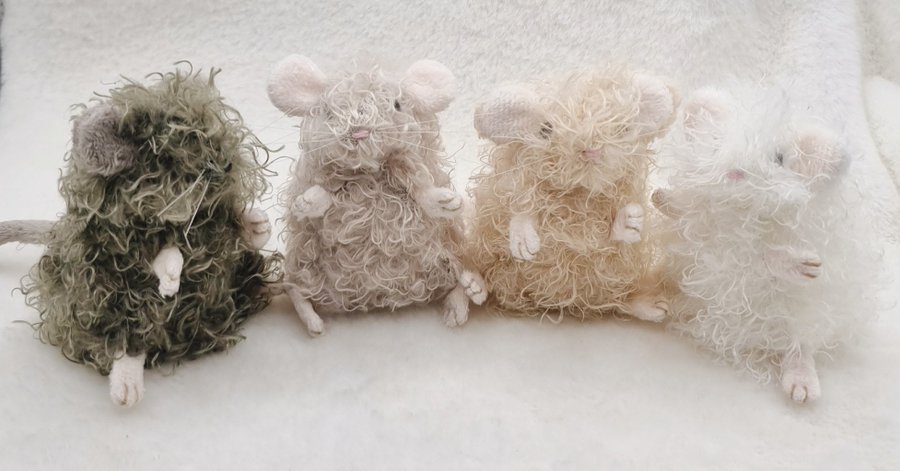 꼬누비 tweet media