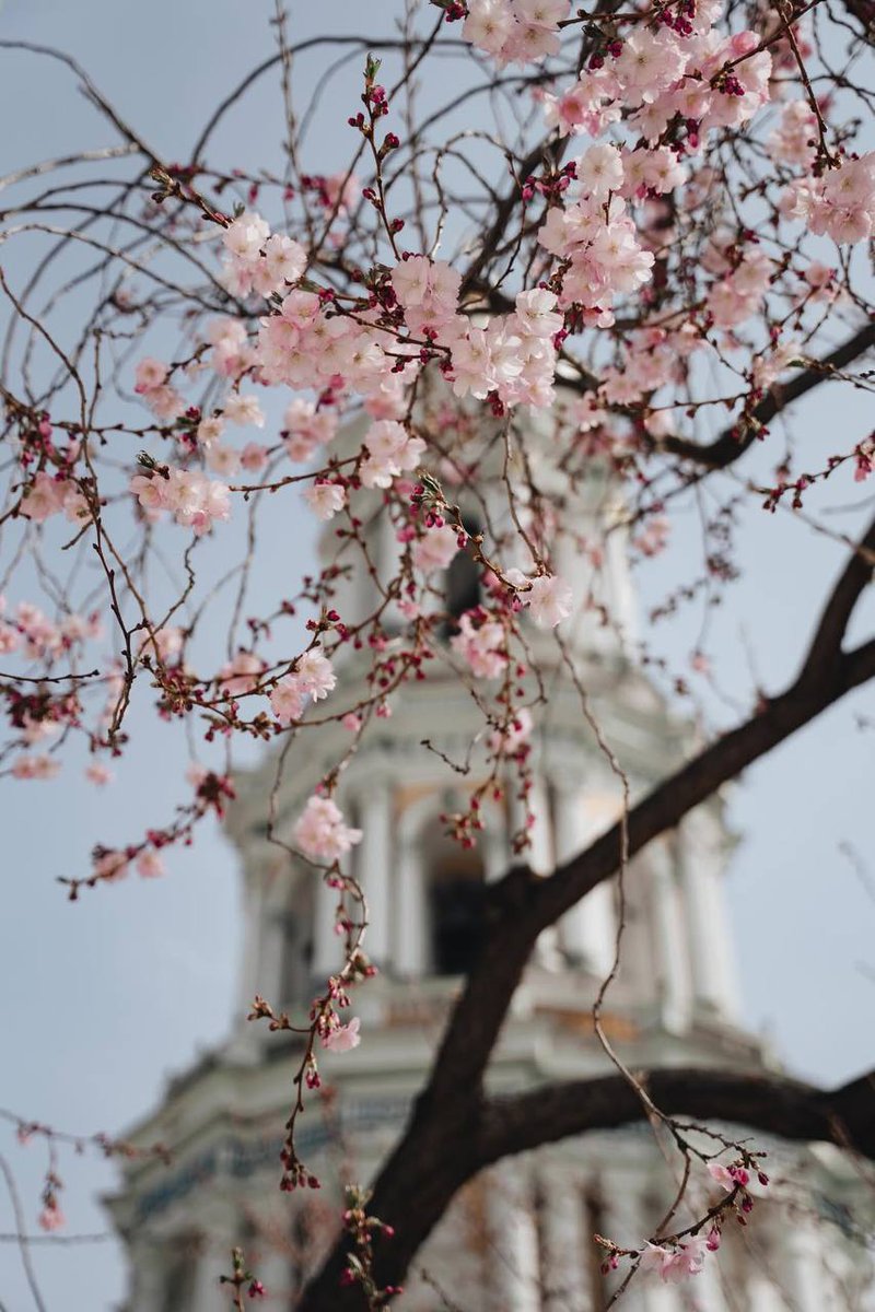 Maksymus 🍌 tweet media