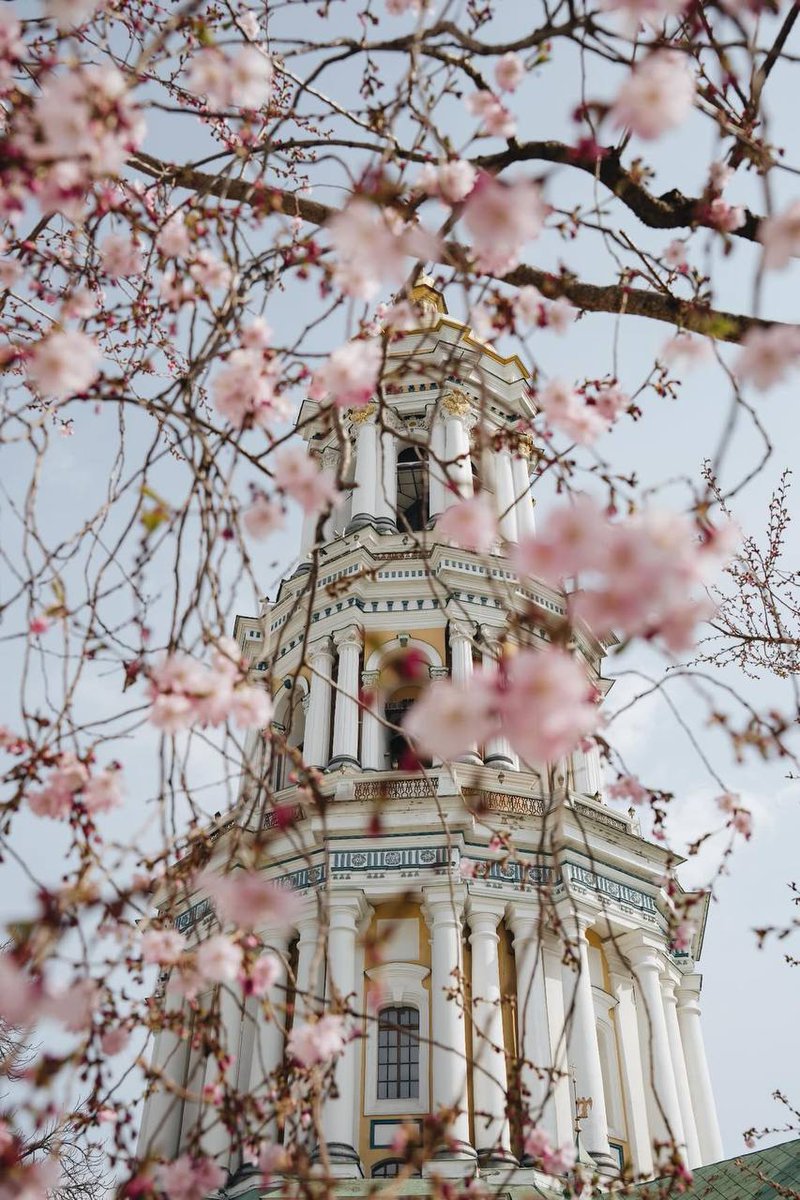 Maksymus 🍌 tweet media