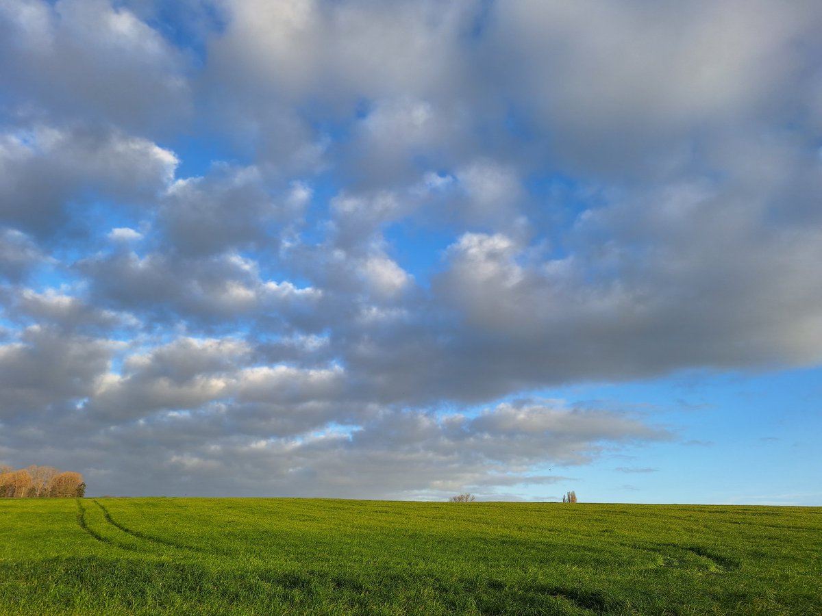 HBlaton's tweet photo. Pajottegem, 08.06 uur #vrtweer https://t.co/tPH0aobXKX