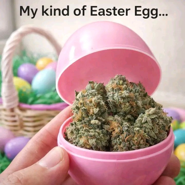 L K Banks420 tweet media