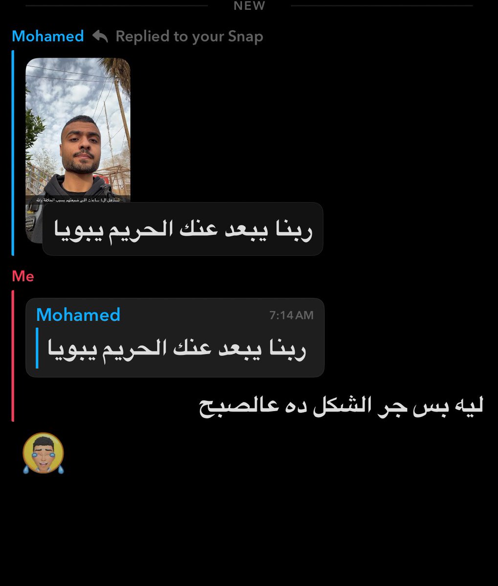 ربيع tweet media