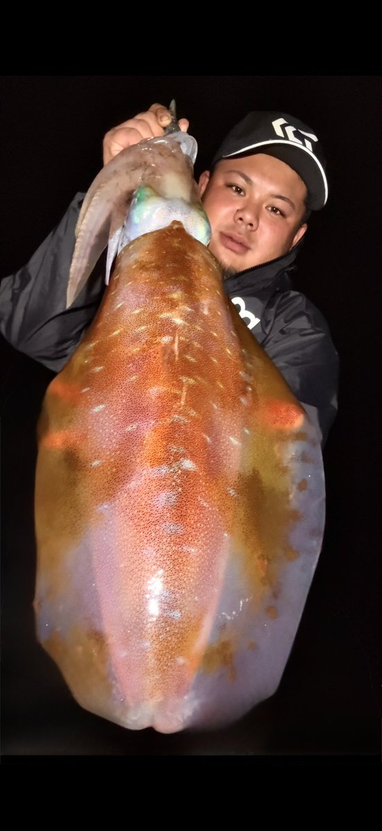 yu_fishing tweet media