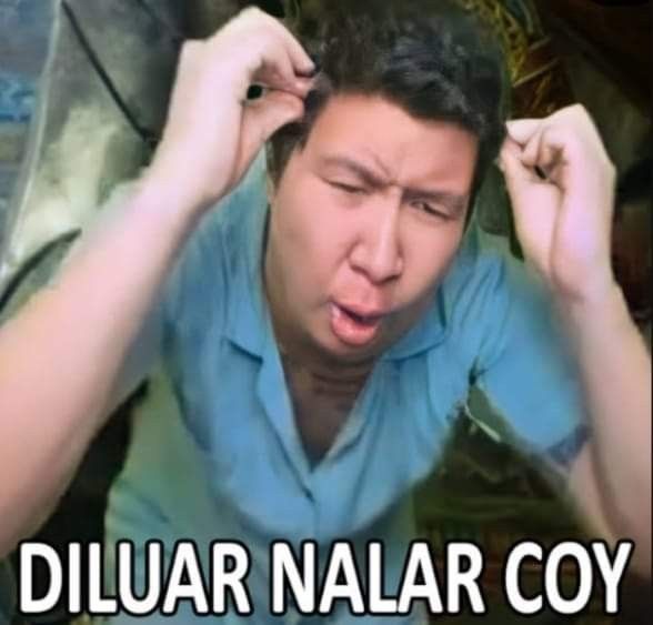 ⤿ 💌 tweet media