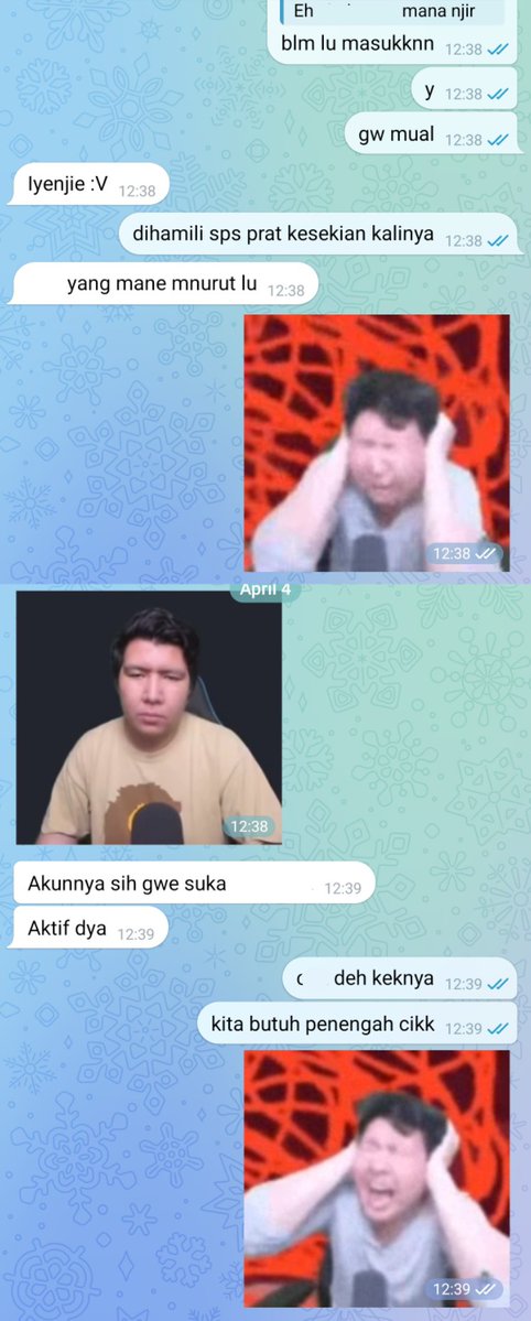 ⤿ 💌 tweet media