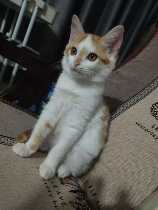 George Yu tweet media