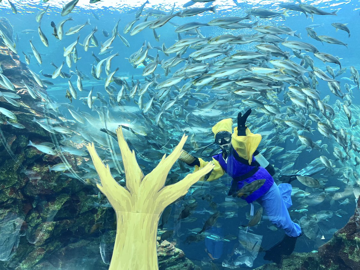 上越市立水族博物館 うみがたり tweet media