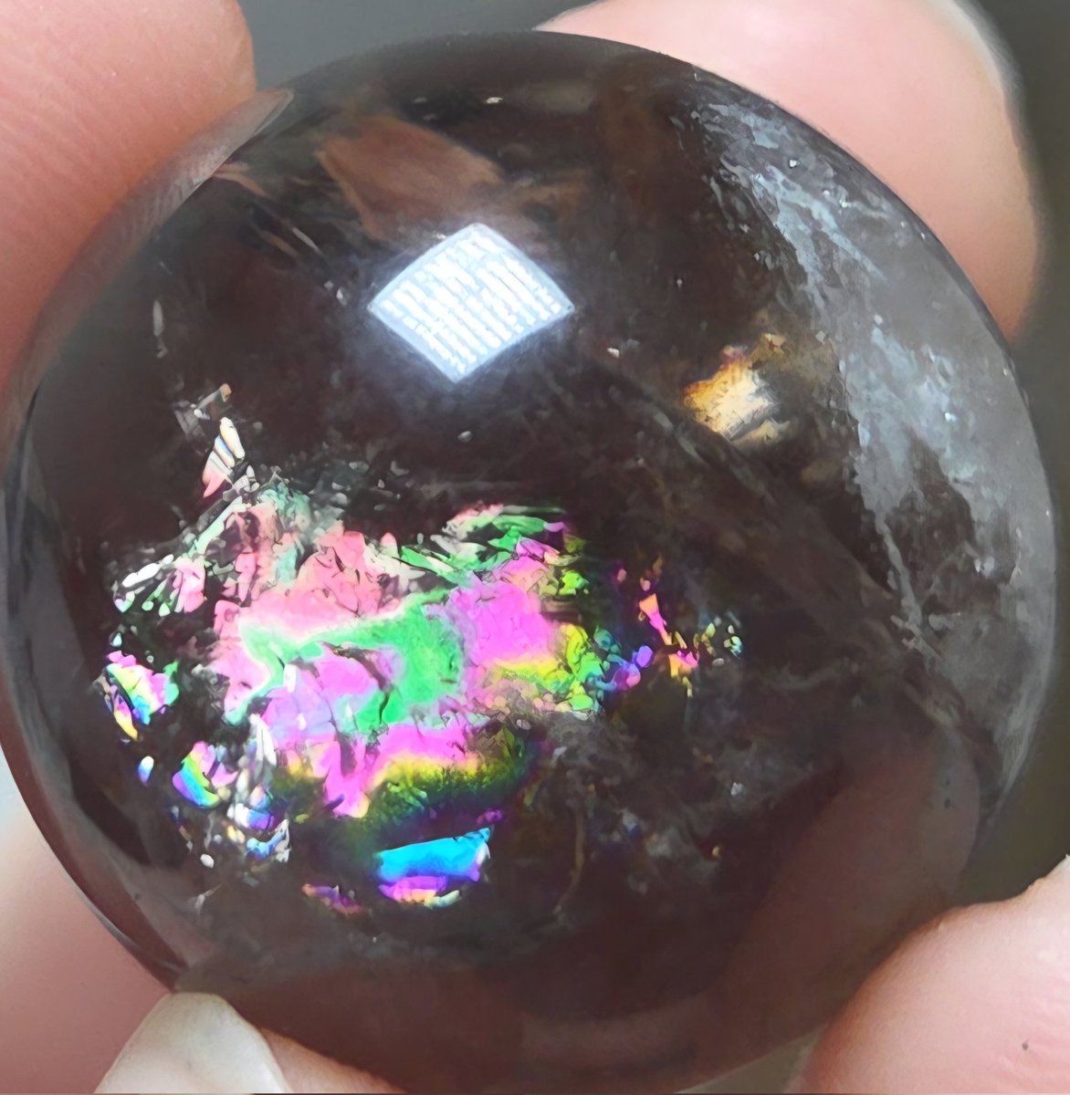 붕어마름 tweet media