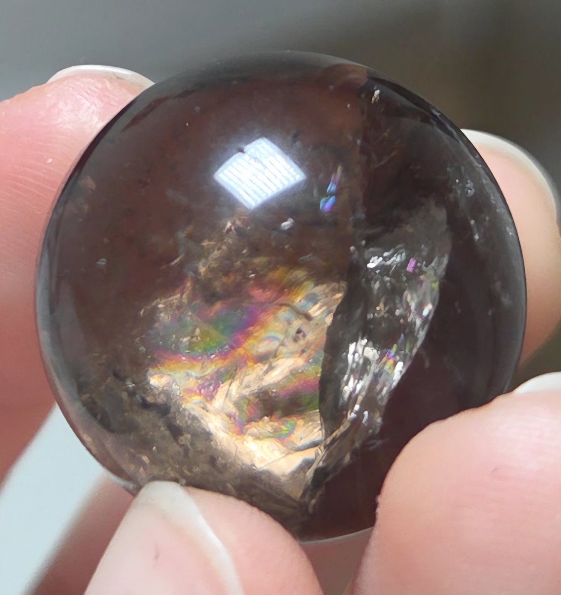 붕어마름 tweet media