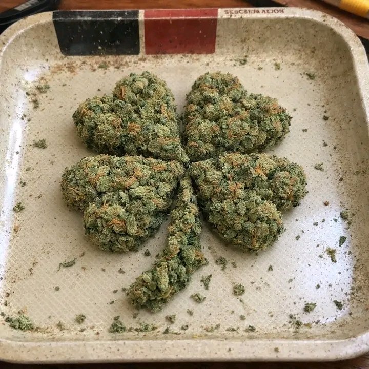 L K Banks420 tweet media