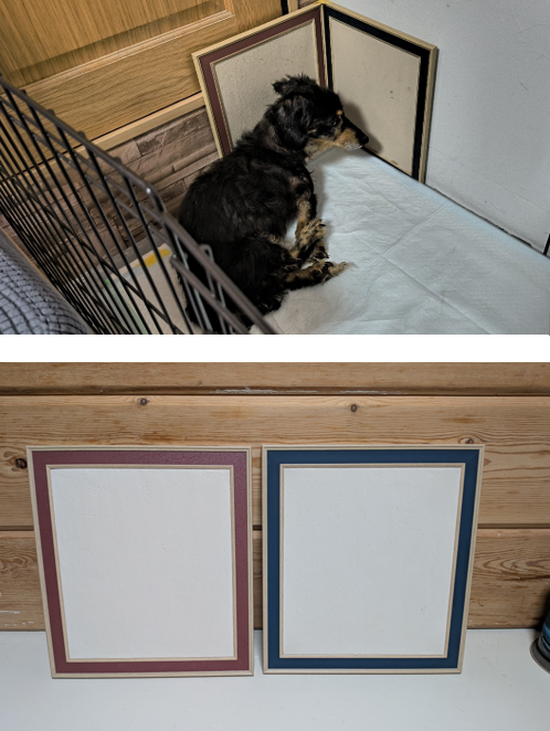 men_eki_555's tweet photo. 動物用ラドンプレートお安く販売します。
危篤状態のわんこを、5日で歩けるまで改善させました。気が付くと目も見えないのにラドンプレートの前に座ってました。福岡の白血病のにゃんこ飼い主さんから依頼が来ました。ラドンボード1枚15,000円です。以前は4万円の商品です。動物を救う為に動物価格です https://t.co/pqThWujMWE