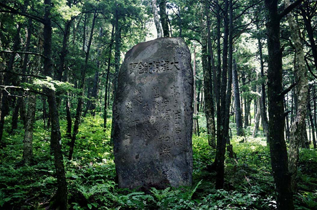 Megalithic Mysteries tweet media