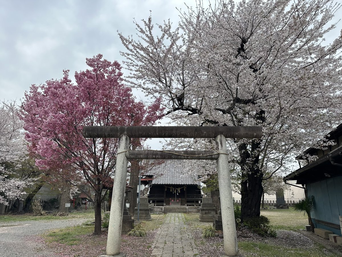 Satoshi H tweet media