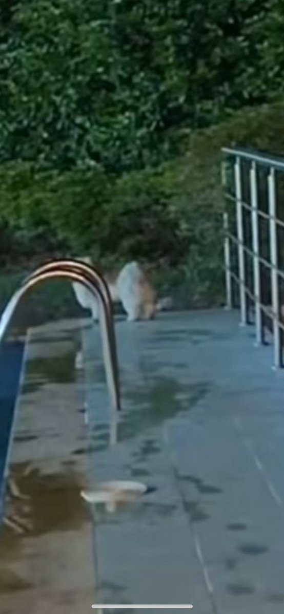 Carolinaposttt🐥🇲🇽 tweet media