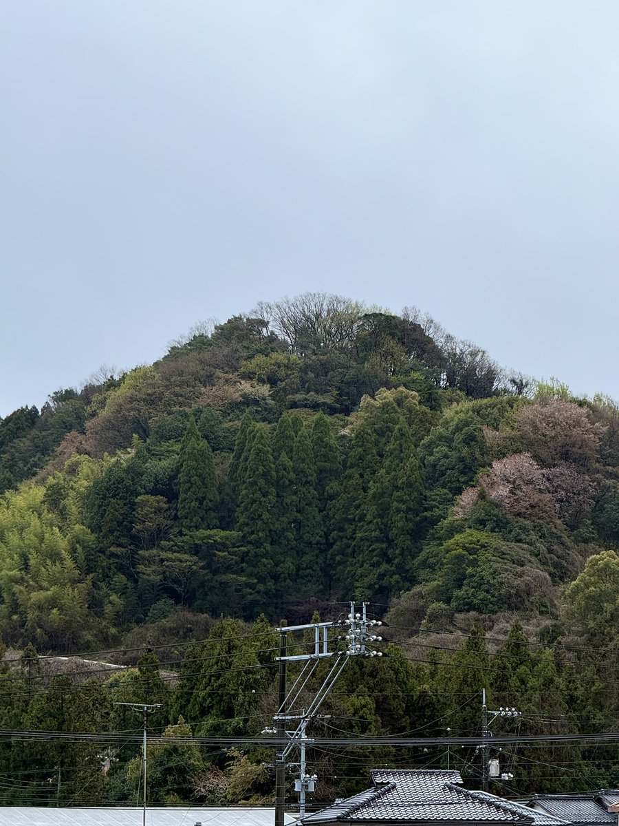 霧野あゆか🐥🧀 tweet media