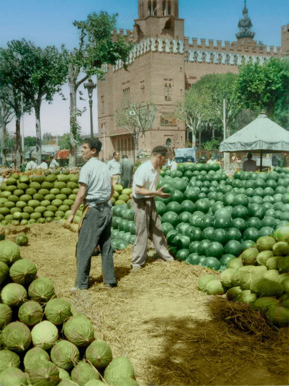 Catalunya Color tweet media