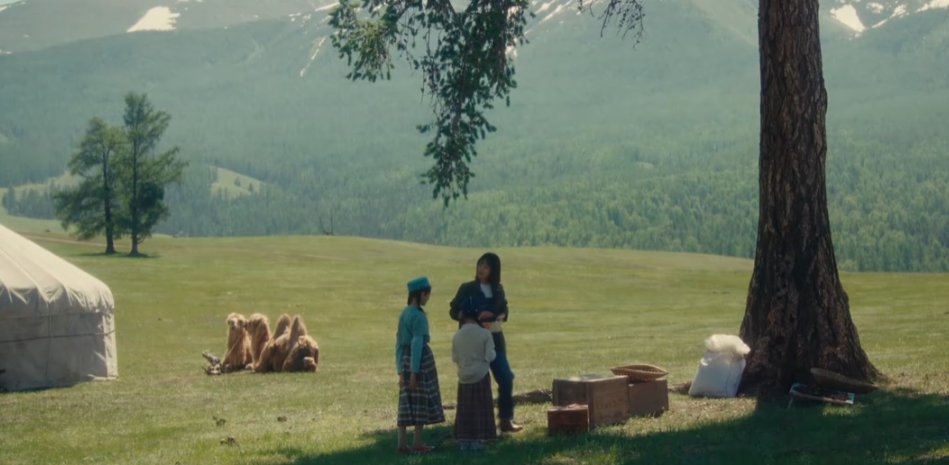 zhen huan jiejie❣️甄学家 tweet media