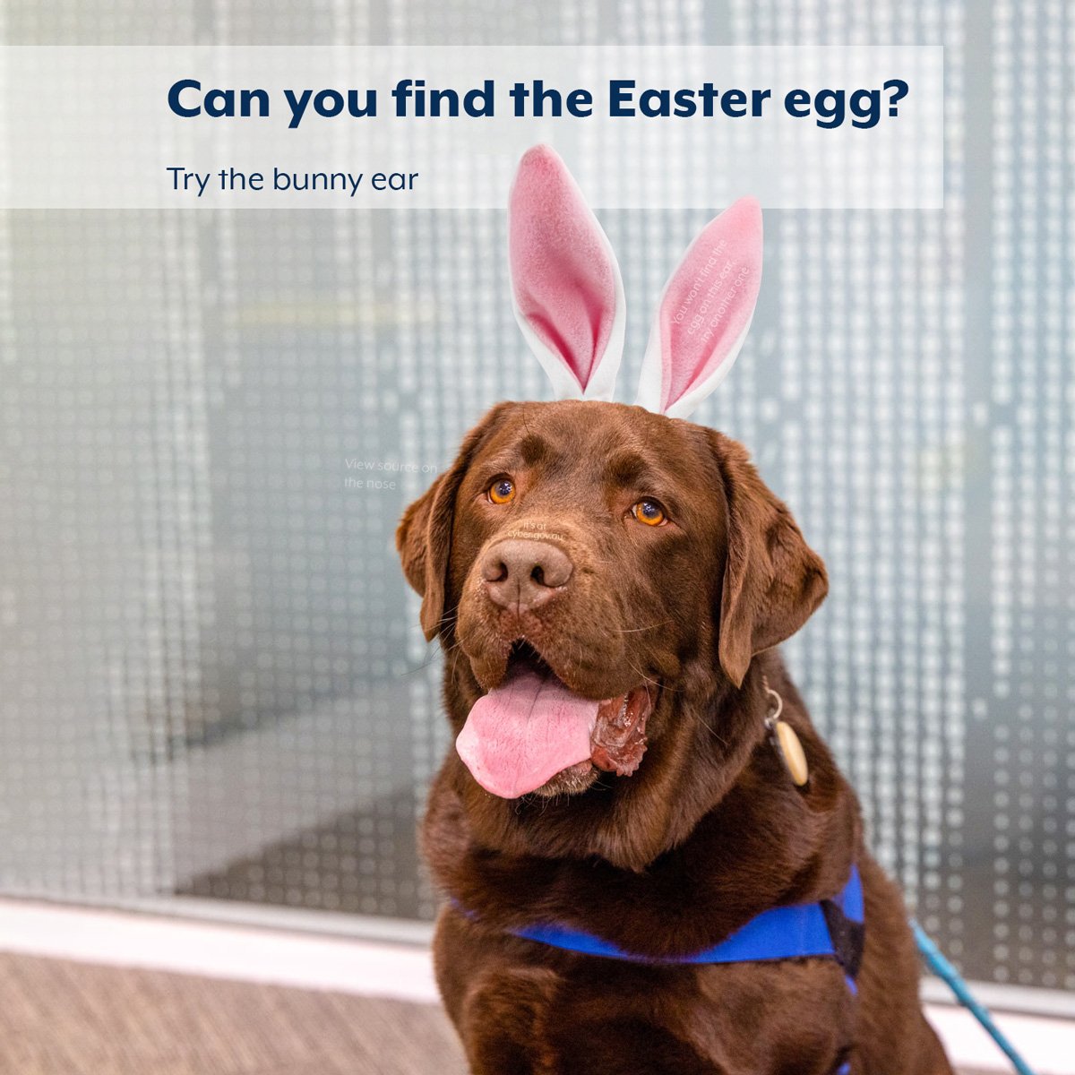 Australian Signals Directorate tweet media