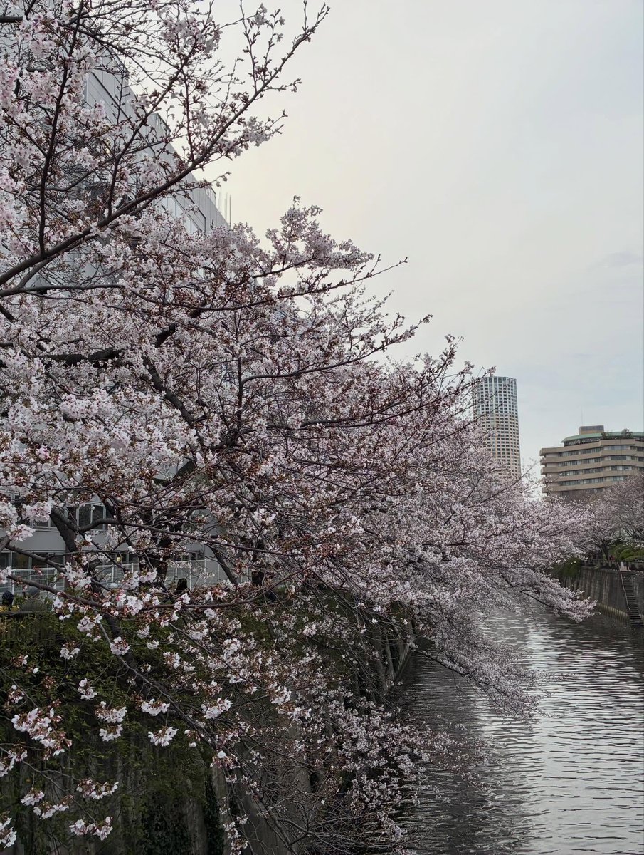 보아카이브 BoArchive tweet media